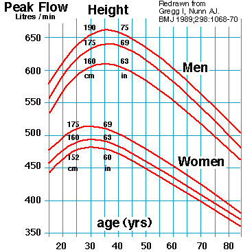 Peak Flow Meter Chart