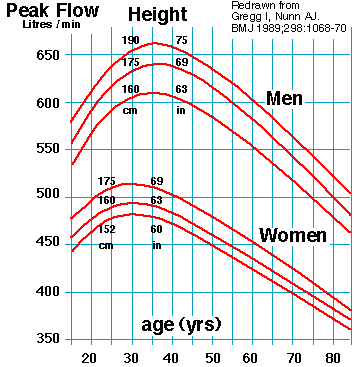 Peak Flow Meters Charts and Their Importance